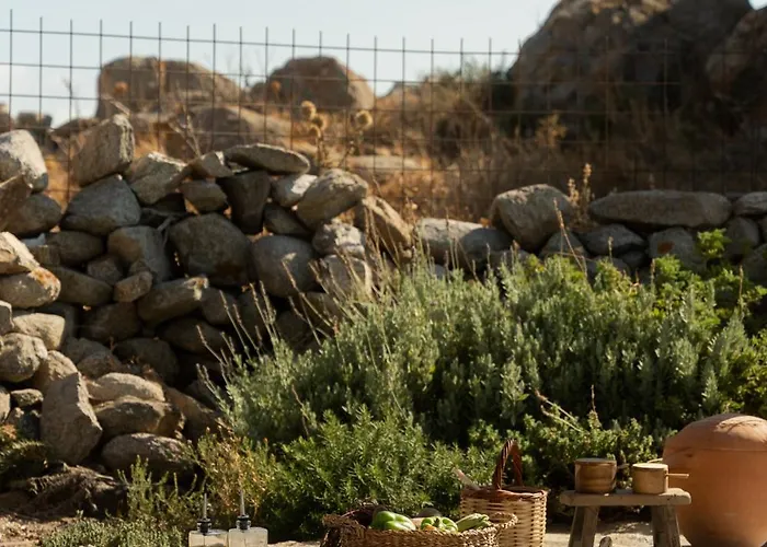 Beyond Naxos-exclusive Vacation